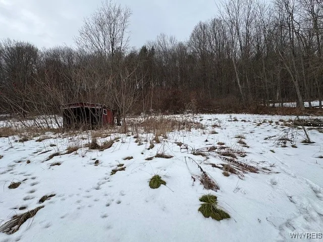 $60,000 | 8247 Cream Hill Road, Fremont, NY 14807