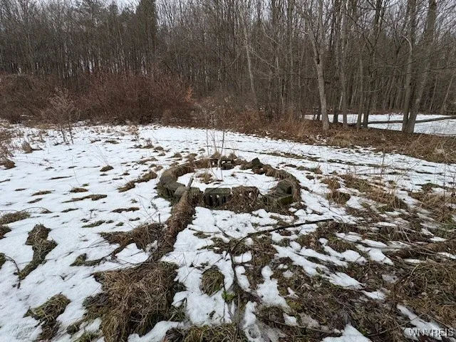 $60,000 | 8247 Cream Hill Road, Fremont, NY 14807