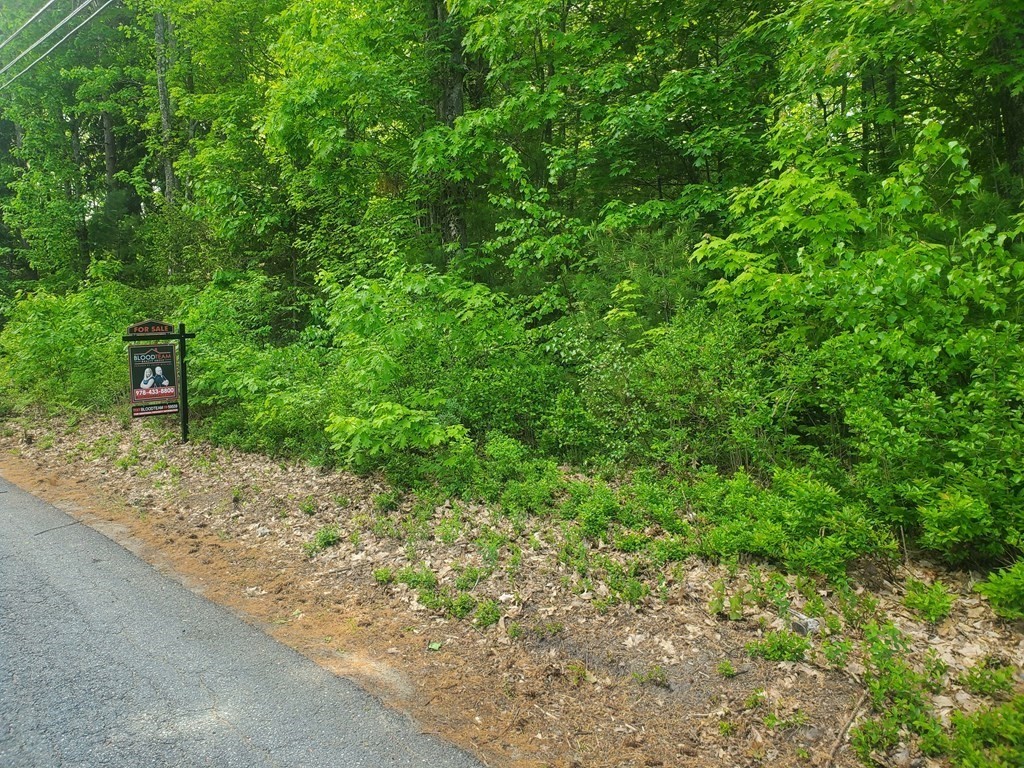 173 South Road Ashby, MA 01431 - Photo 2 of 4 a view of a forest with a tree