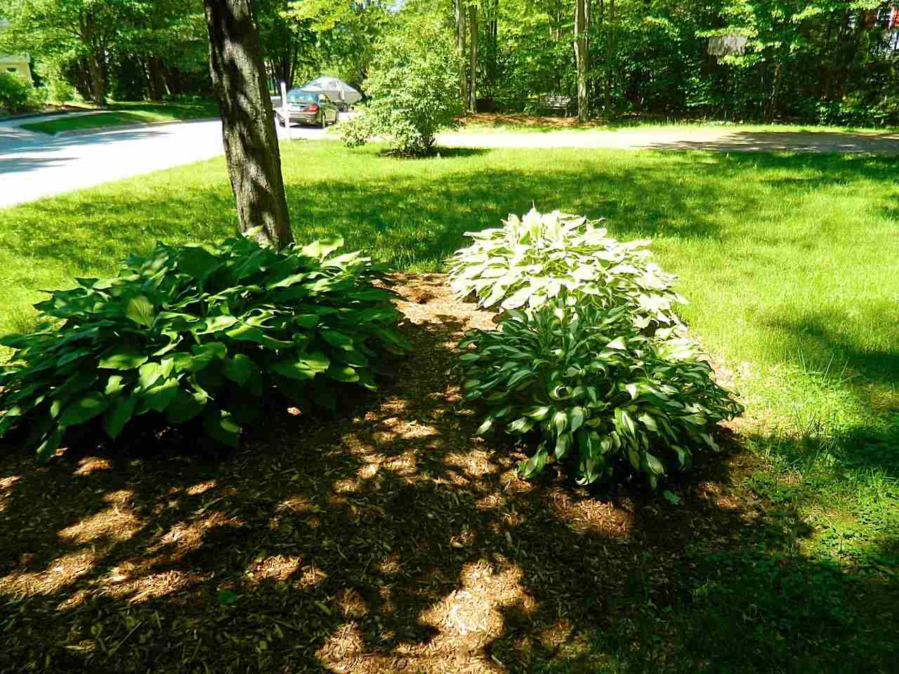 54 Old Sawmill Road Colchester, VT 05446 - Photo 22 of 26 Gallery Image 22