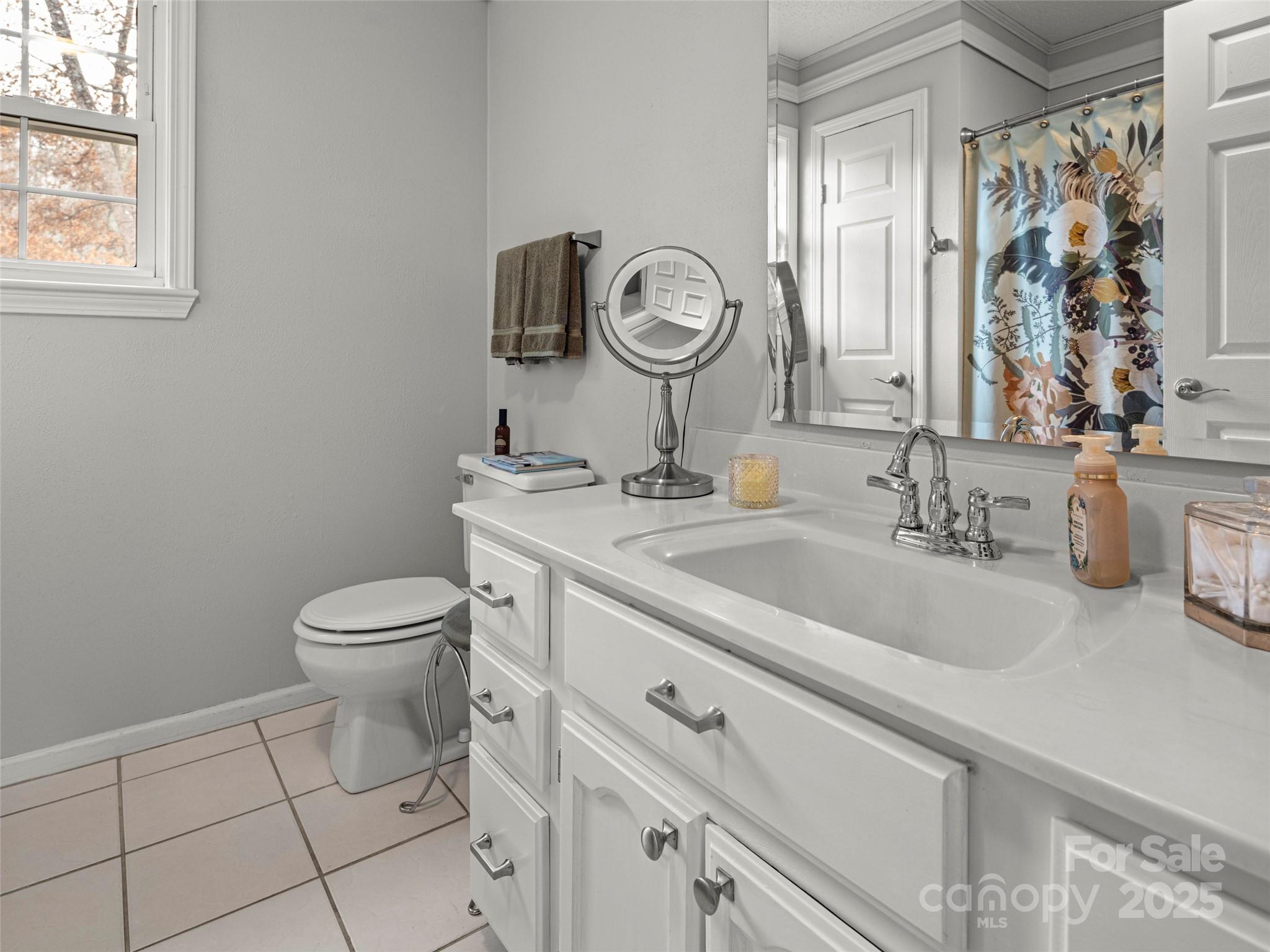 33 Ivy Cove Road Fairview, NC 28730 - Photo 25 of 36 a bathroom with a toilet a sink and mirror
