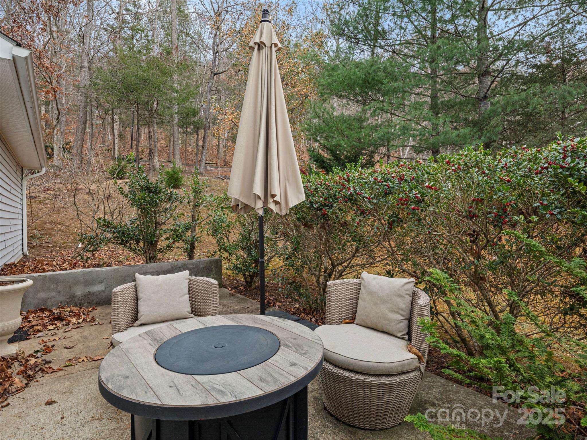 33 Ivy Cove Road Fairview, NC 28730 - Photo 32 of 36