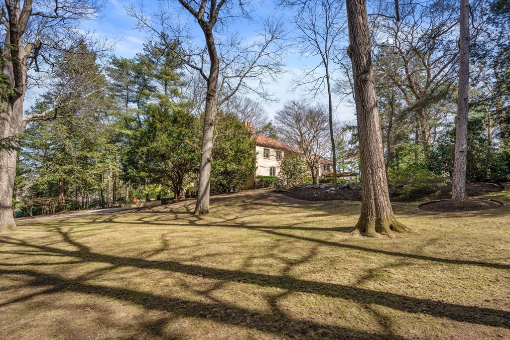 342 Warren Street Brookline, MA 02445 - Photo 18 of 21