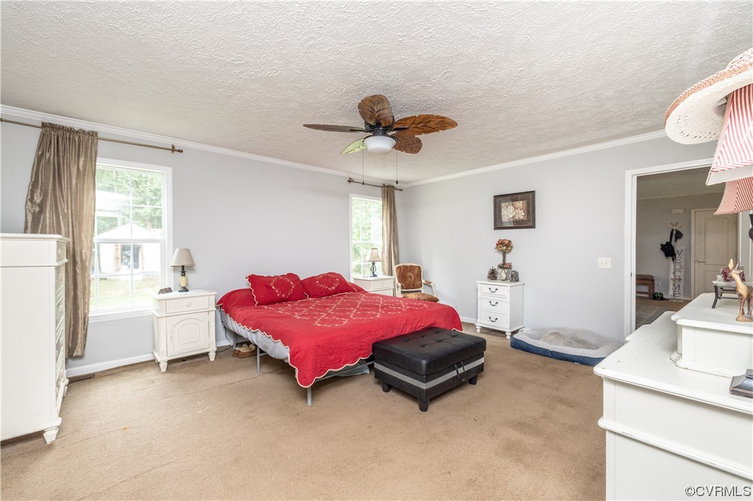 790 Grapevine Road Sandston, VA 23150 - Photo 19 of 41 Gallery Image 19