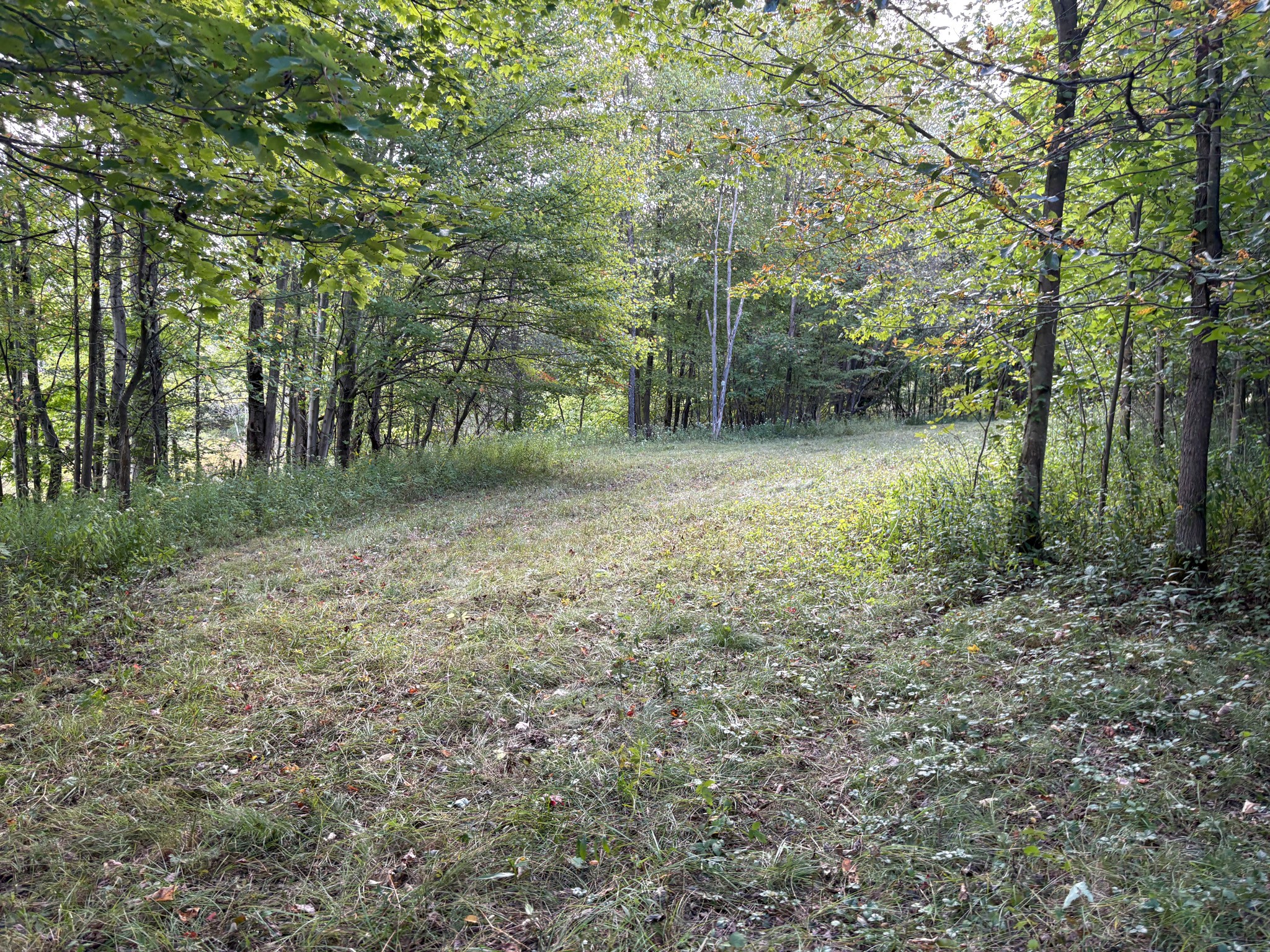Scribner Road Pierpont, OH 44082 - Photo 10 of 20 Gallery Image 10