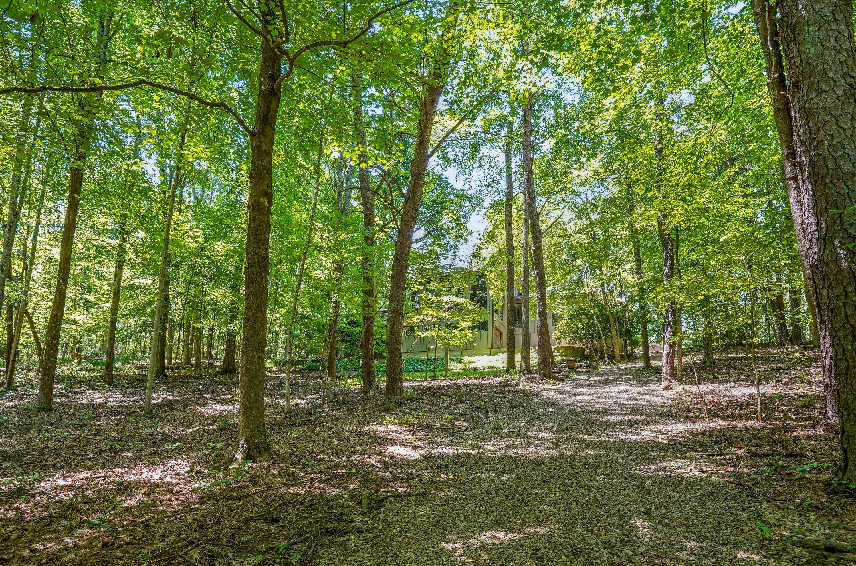 24065 Chapel Ridge Road South Bloomingville, OH 43152 - Photo 36 of 51 Gallery Image 36
