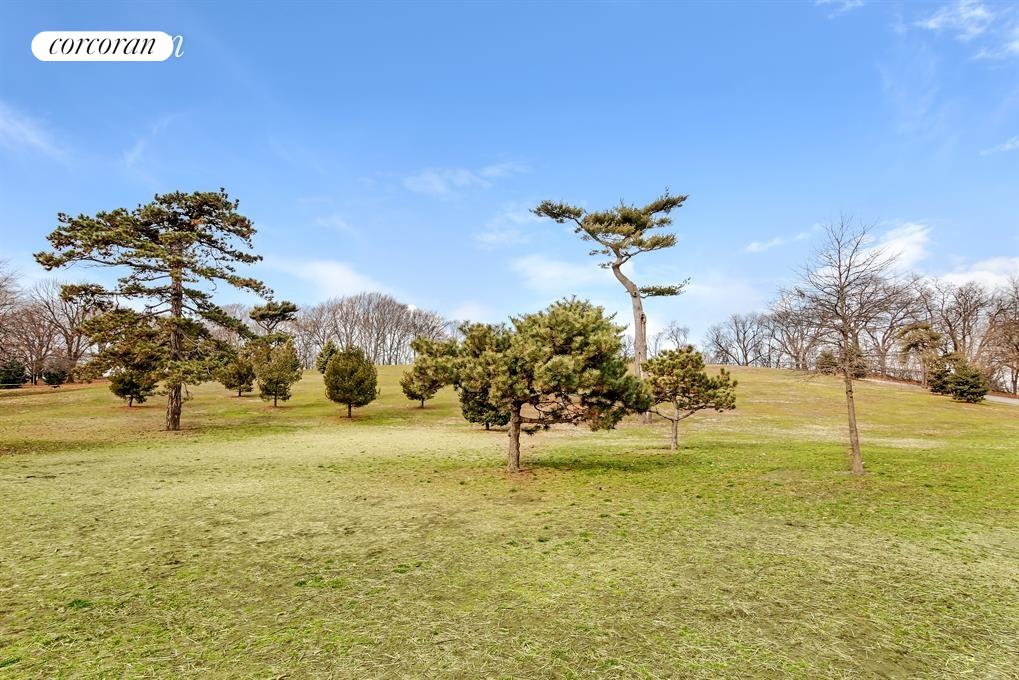 7259 Shore Road, Unit 5K Brooklyn, NY 11209 - Photo 12 of 13
