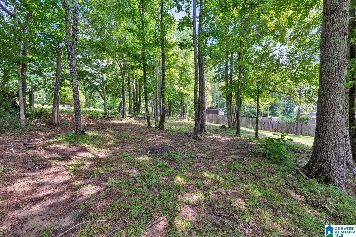 741 South Hillcrest Road Odenville, AL 35120 - Photo 34 of 37