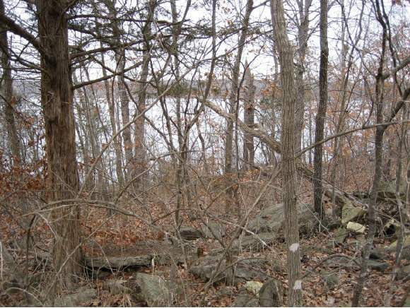 45 Goldfinch Lane Shell Knob, MO 65747 - Photo 1 of 1 Primary Photo