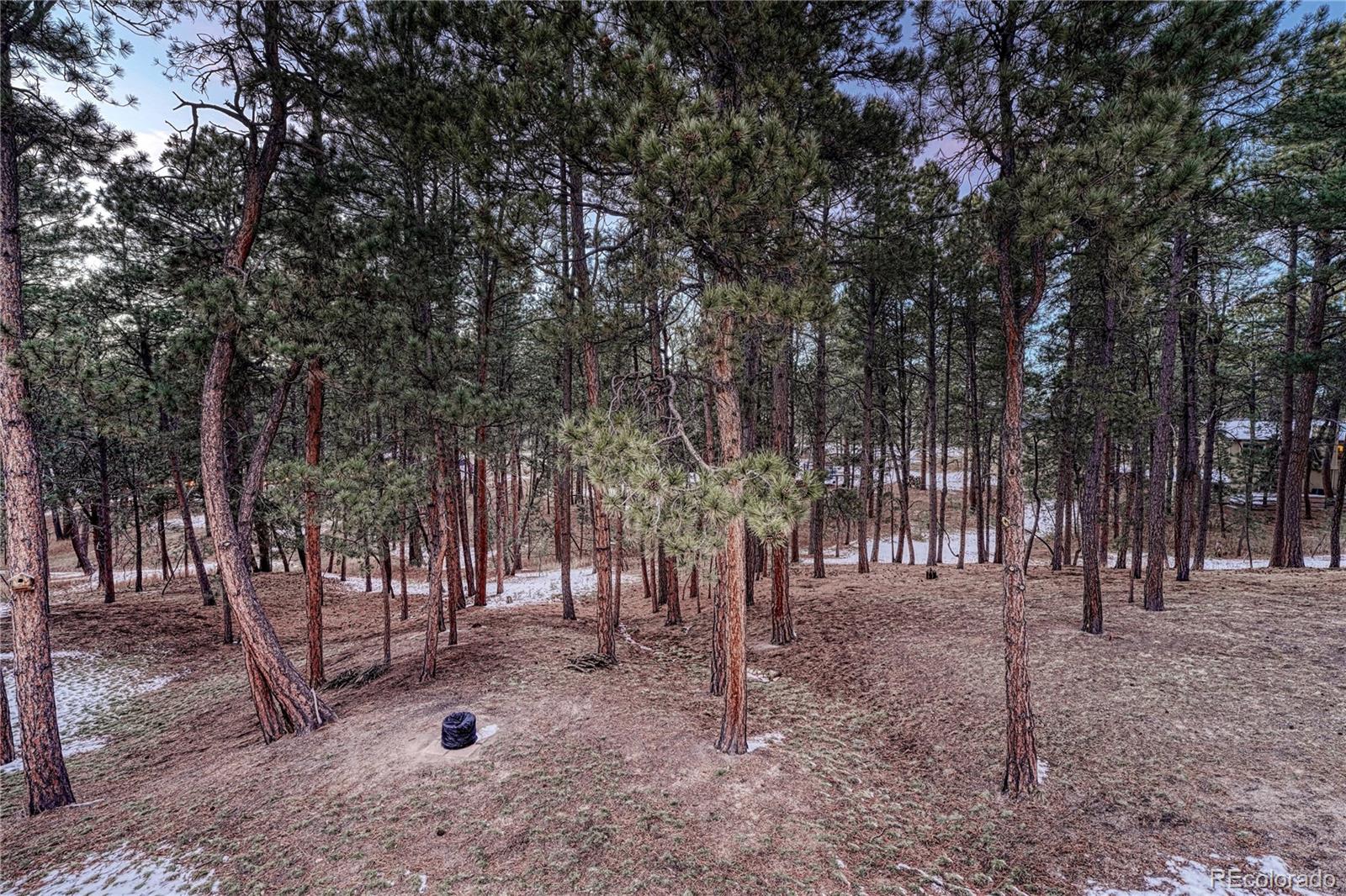 18150 Bakers Farm Road Colorado Springs, CO 80908 - Photo 42 of 49 a view of road with trees