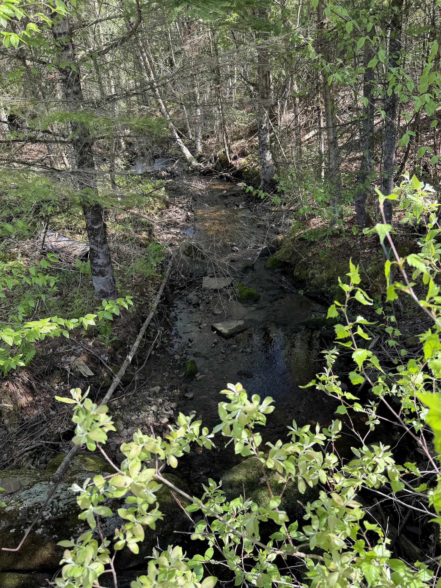 550 Petit Road Newport, VT 05855 - Photo 13 of 20