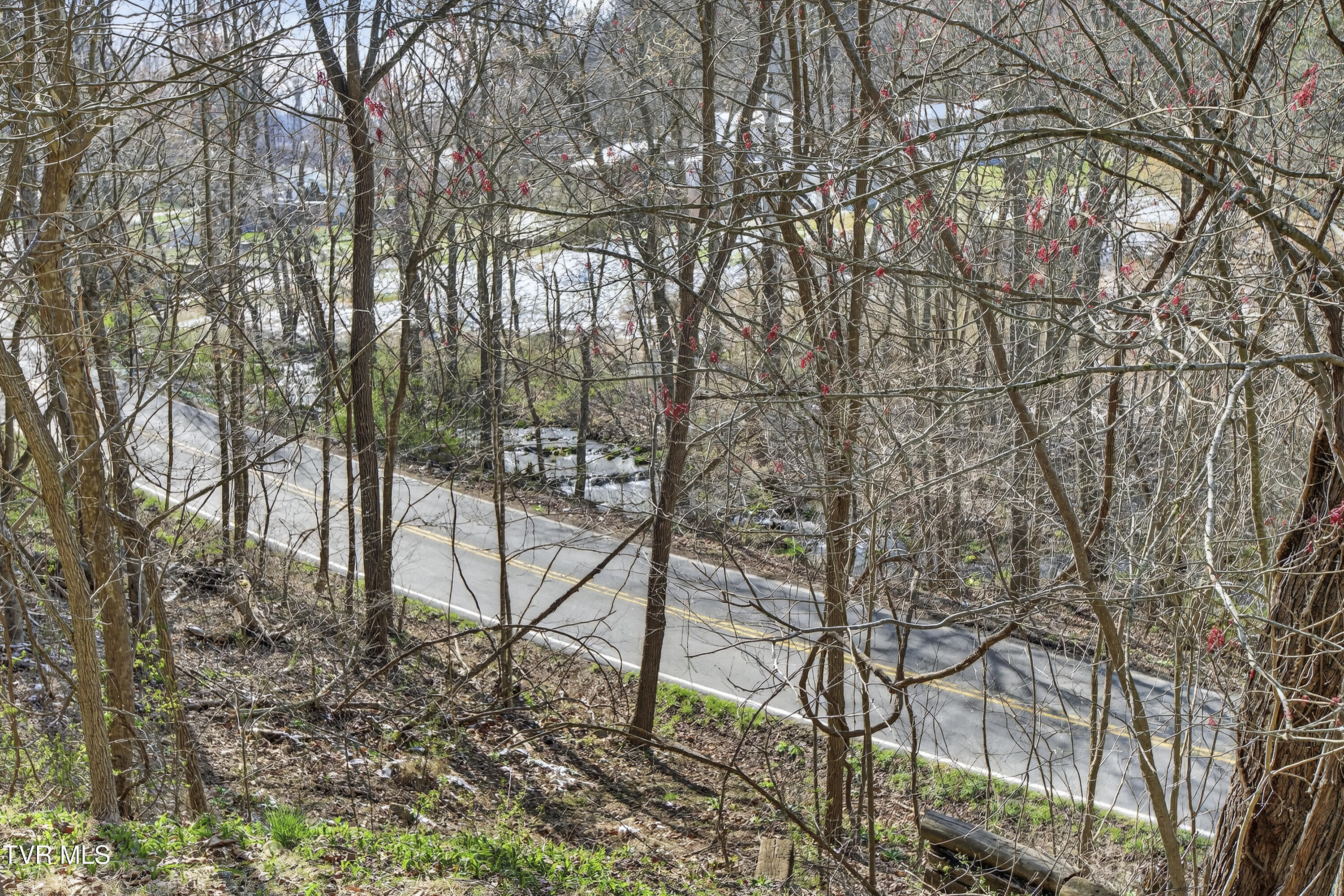 19305 Benhams Road Bristol, VA 24202 - Photo 20 of 38 19305-Benhams-Rd-Bristol-VA Matt-Smith-R