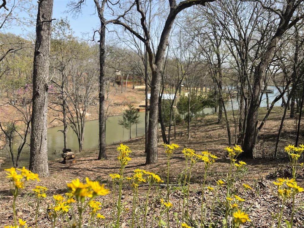 265 Shadow Oaks Streetman, TX 75859 - Photo 34 of 40 a view of a backyard with large trees