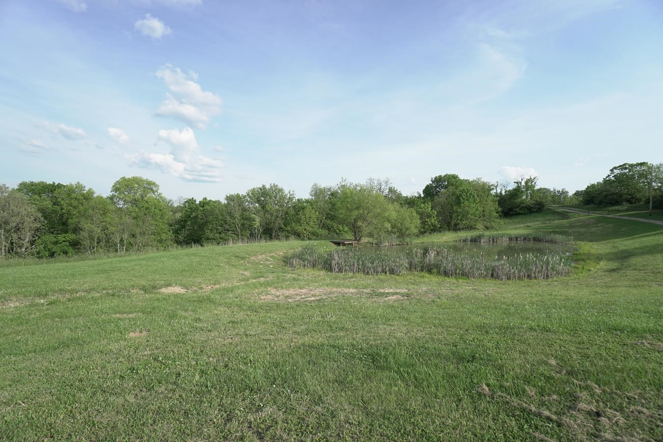 1230 Clos Road Falmouth, KY 41040 - Photo 6 of 50