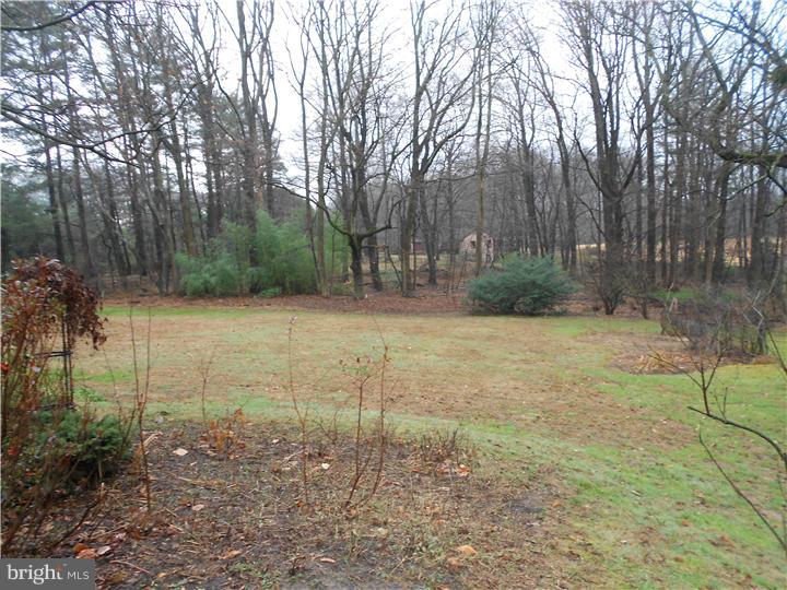 345 Mt Alverno Road Media, PA 19063 - Photo 3 of 25 Back Yard