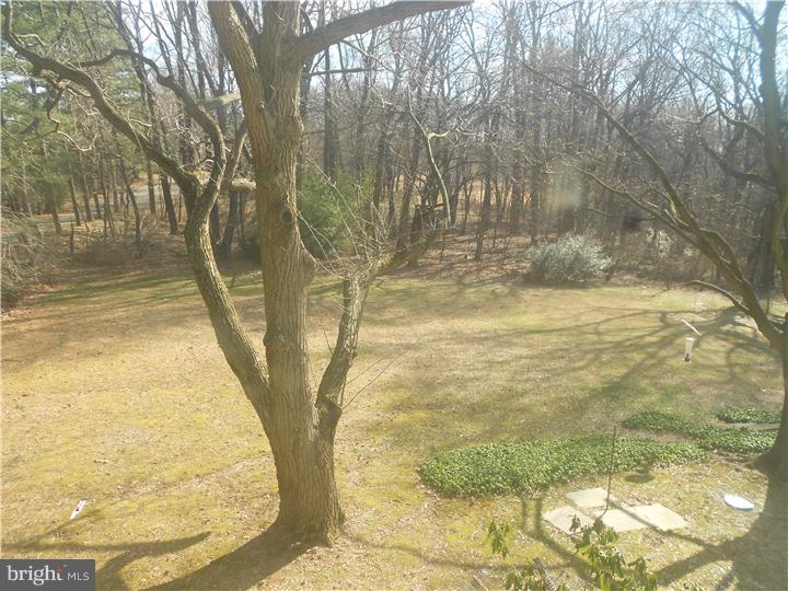 345 Mt Alverno Road Media, PA 19063 - Photo 22 of 25 Gallery Image 22