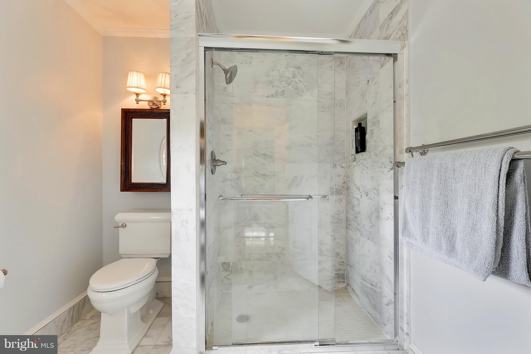 13402 Cambria Farms Road Phoenix, MD 21131 - Photo 24 of 28 a bathroom with a shower a toilet and a sink