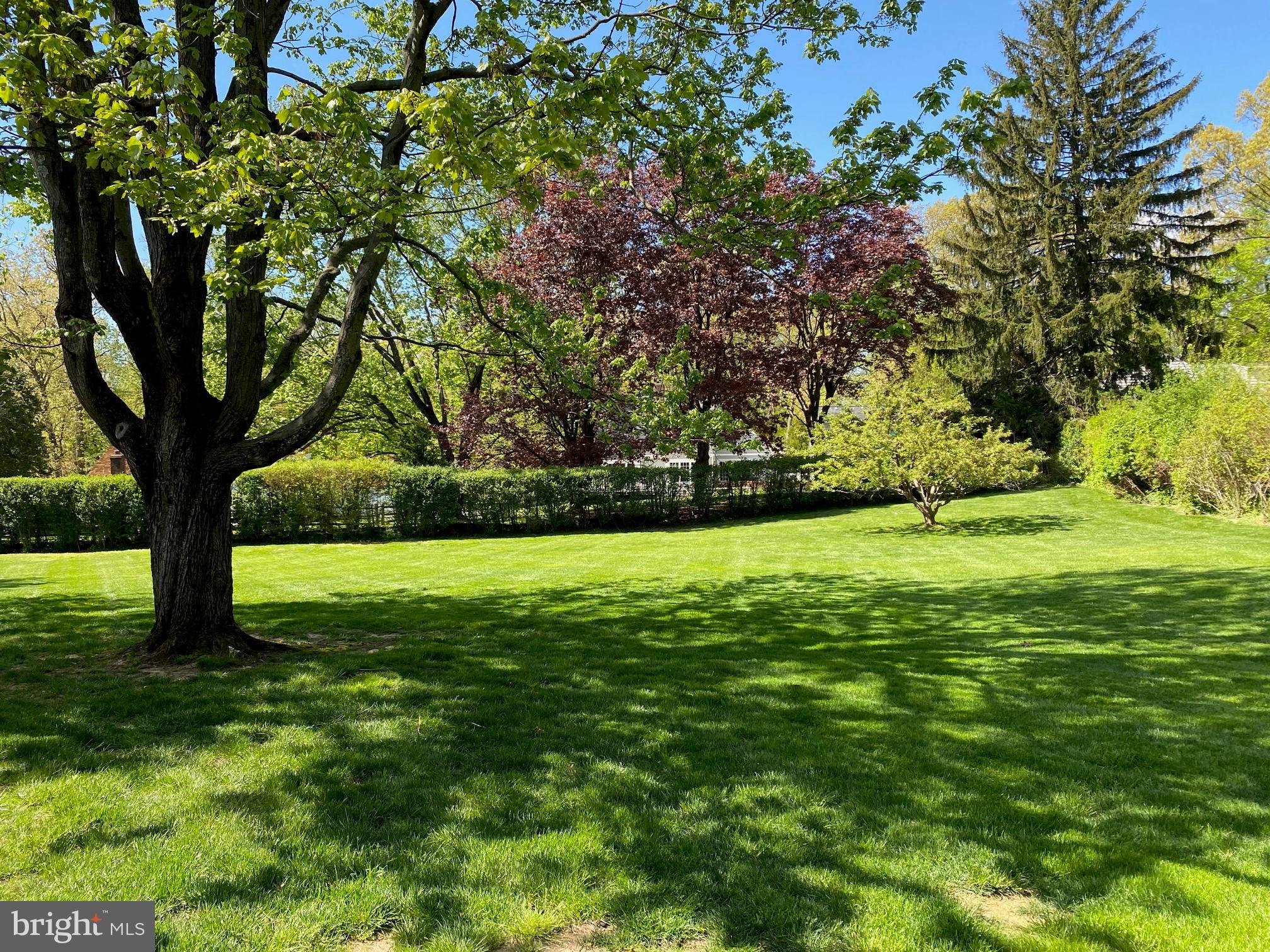 268 Berwind Road Radnor, PA 19087 - Photo 40 of 40 Your summer backyard