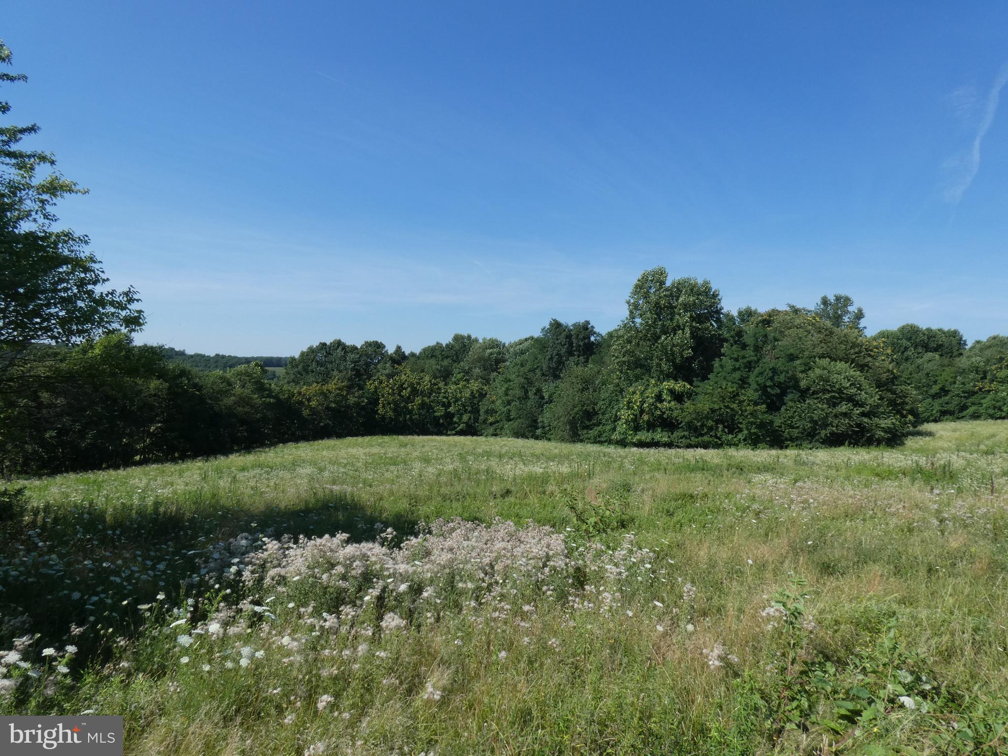 14714 Liberty Road Mount Airy, MD 21771 - Photo 2 of 13