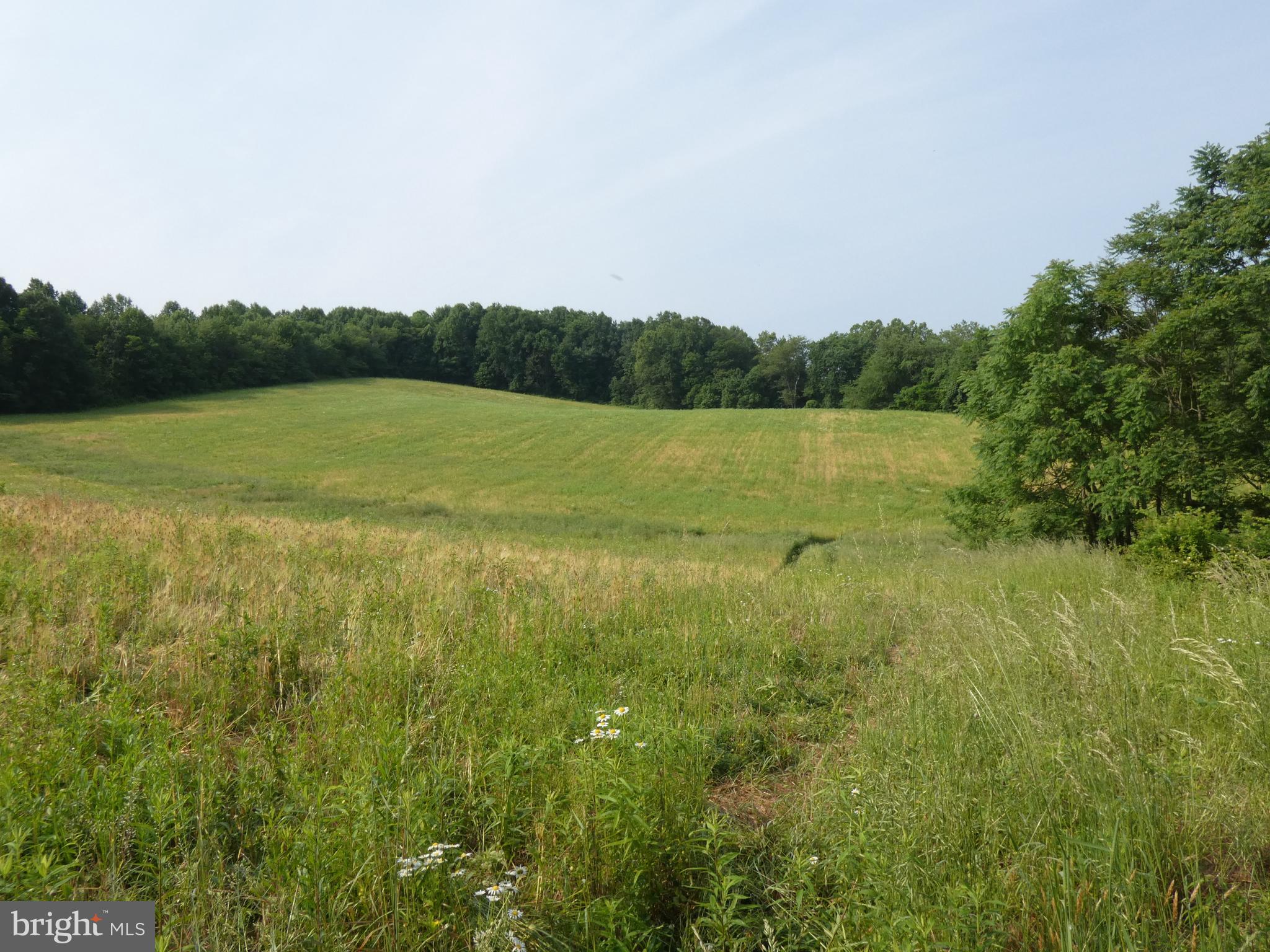 14714 Liberty Road Mount Airy, MD 21771 - Photo 11 of 13