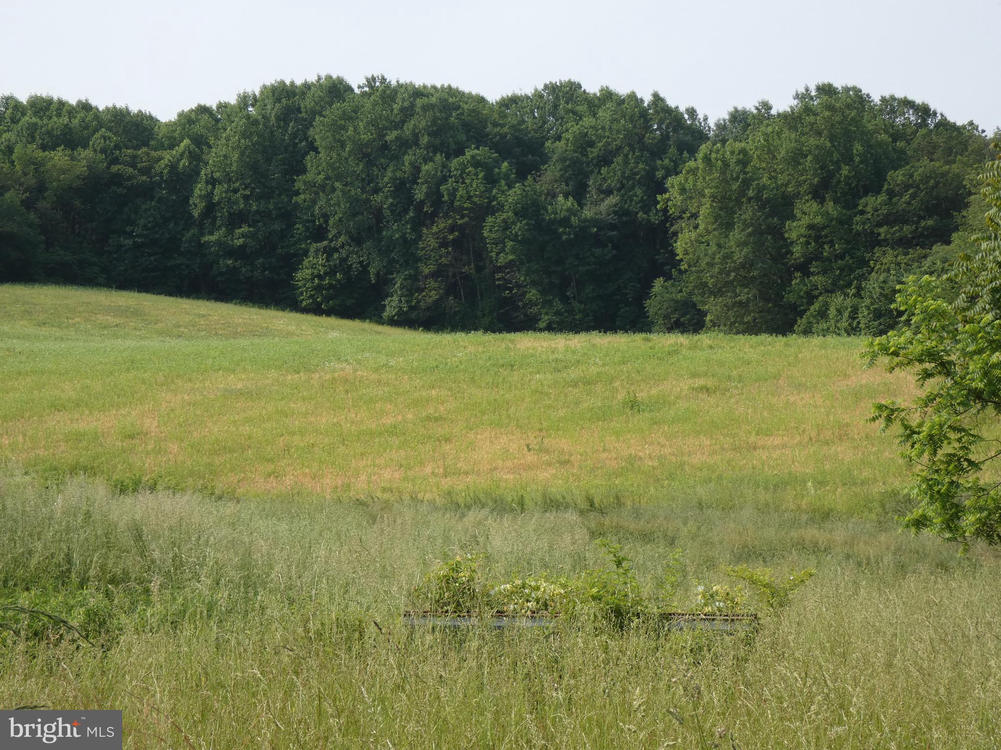 14714 Liberty Road Mount Airy, MD 21771 - Photo 13 of 13