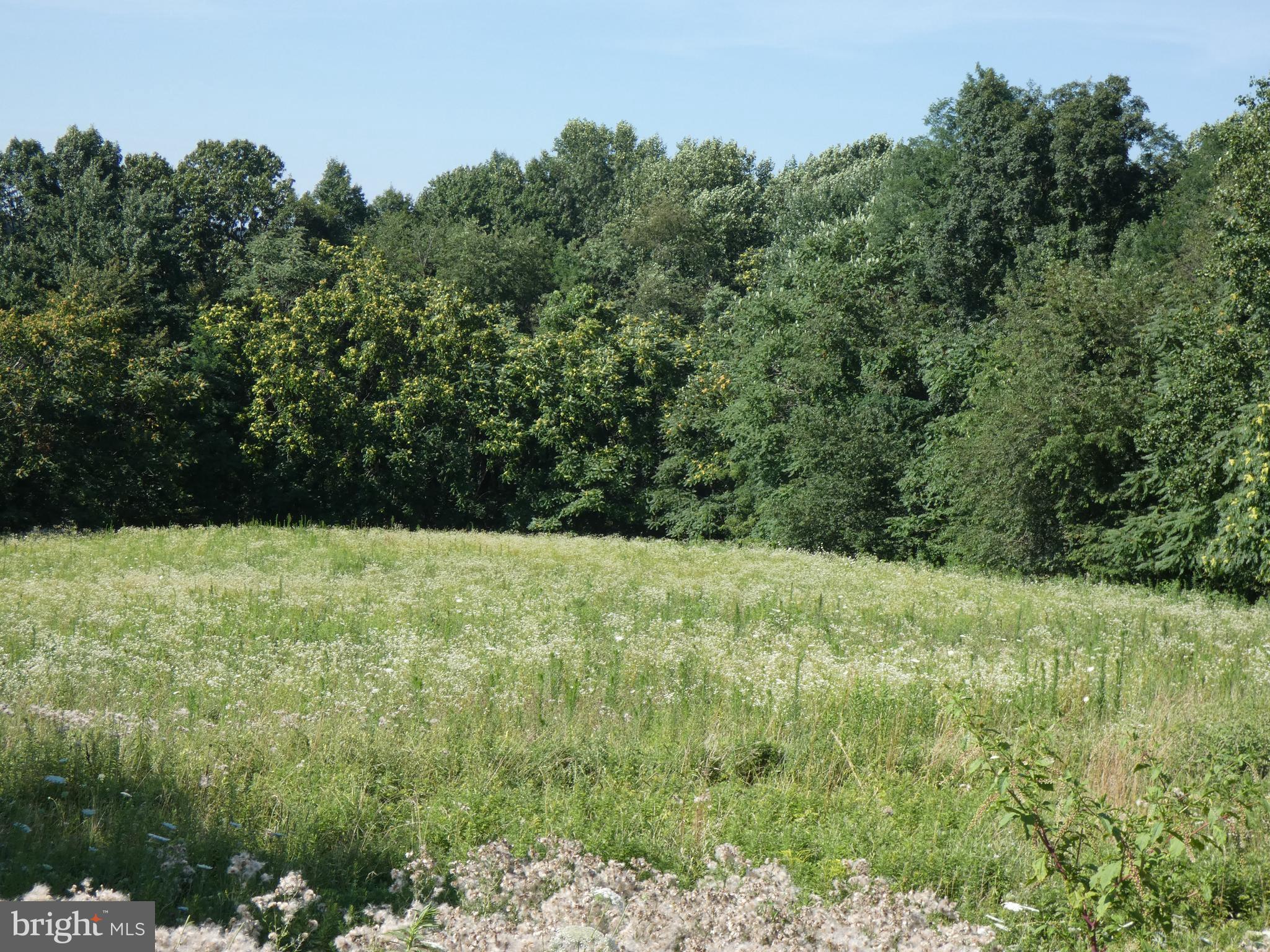 14714 Liberty Road Mount Airy, MD 21771 - Photo 8 of 13