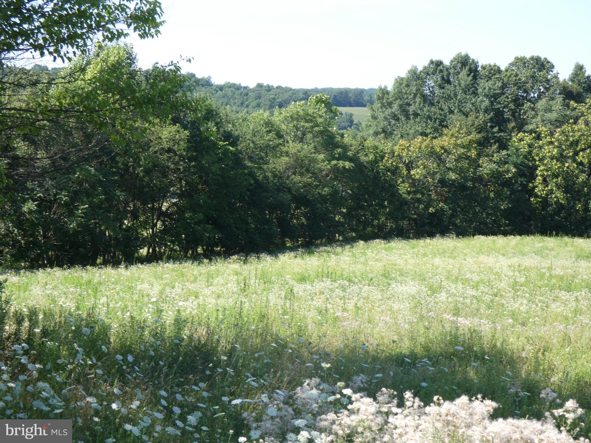 14714 Liberty Road Mount Airy, MD 21771 - Photo 9 of 13