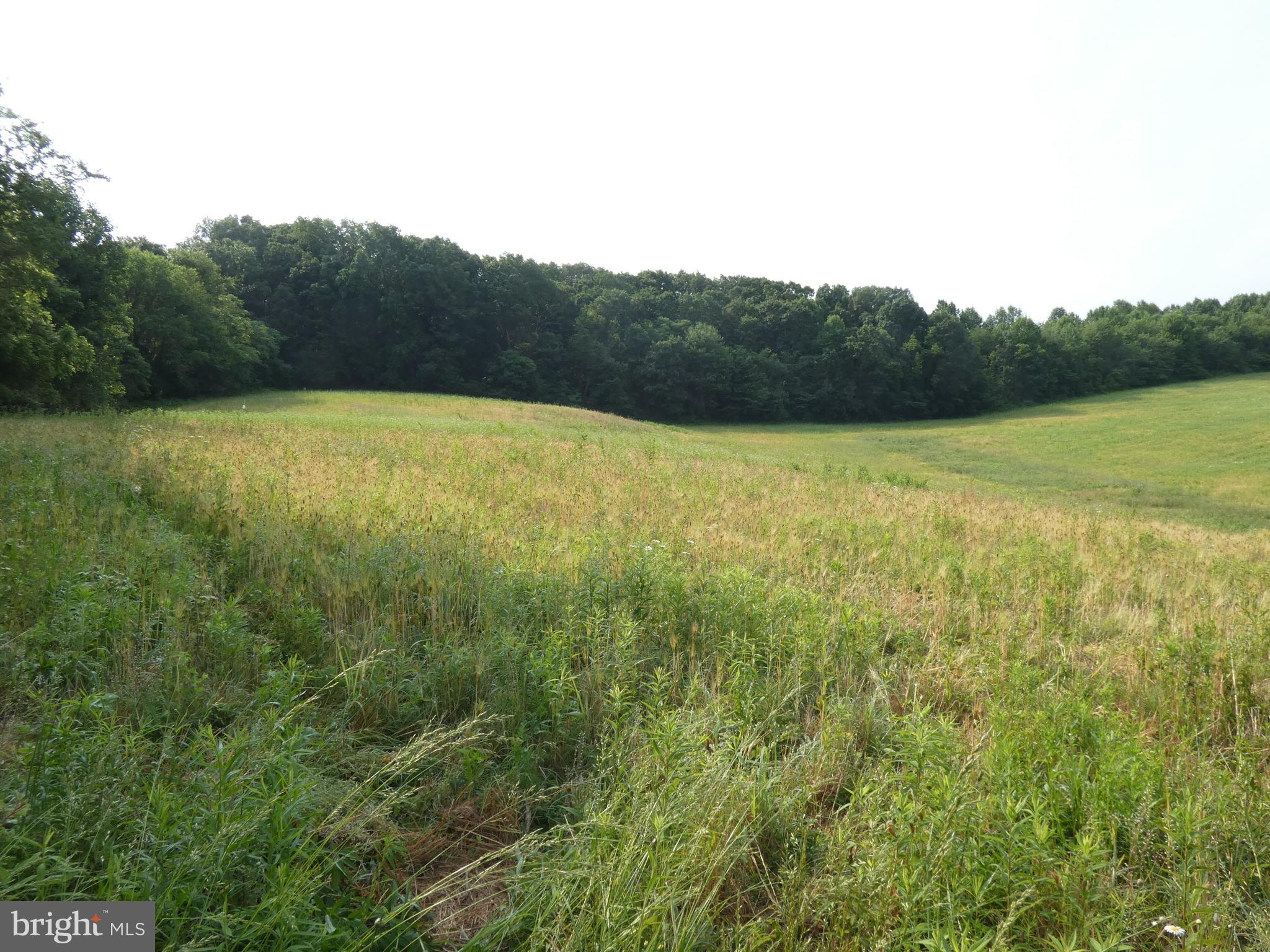 14714 Liberty Road Mount Airy, MD 21771 - Photo 10 of 13