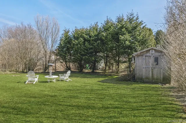 a view of a backyard with large trees