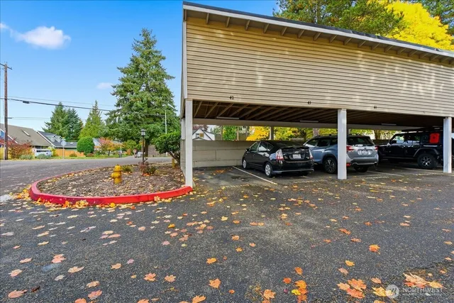 a view of a bunch of flowers and trees
