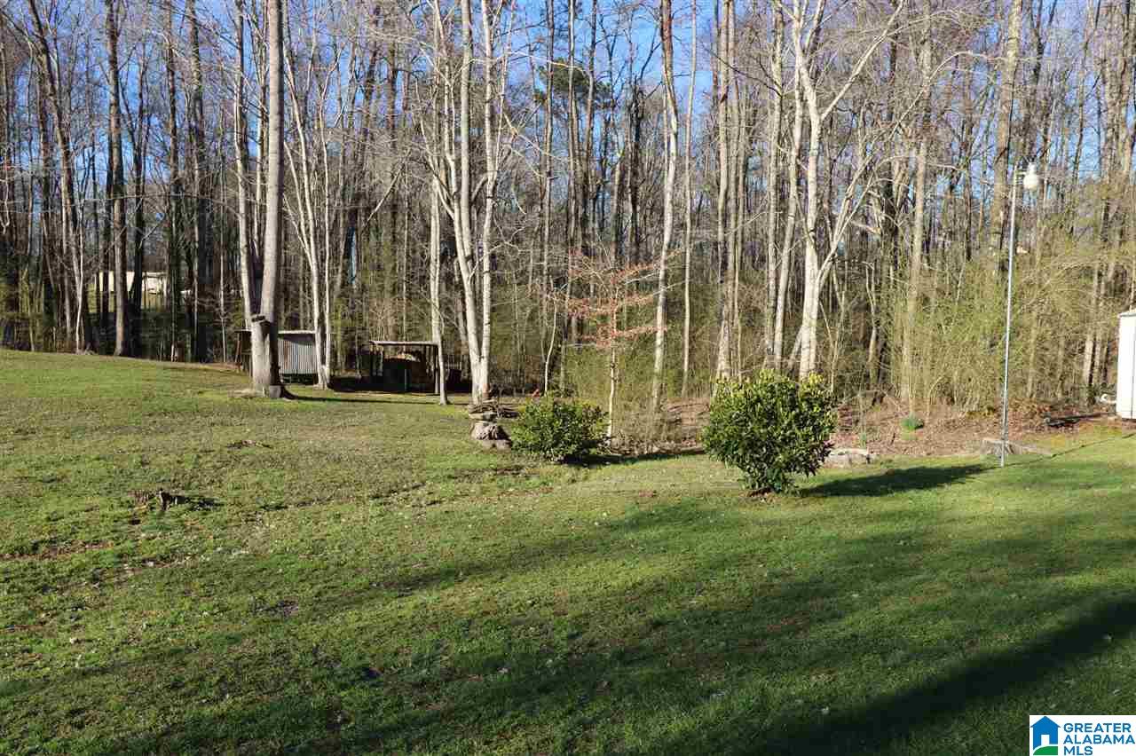 595 Fincher Road Pell City, AL 35128 - Photo 31 of 47