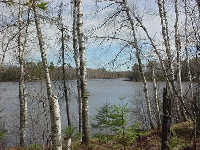 Lot 3 Rice Lake Road Mercer, WI 54547 - Photo 10 of 10 Gallery Image 10