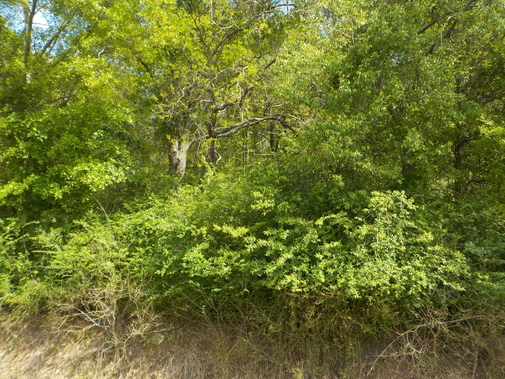5.3-ac Memphis Church Road Dothan, AL 36301 - Photo 23 of 29