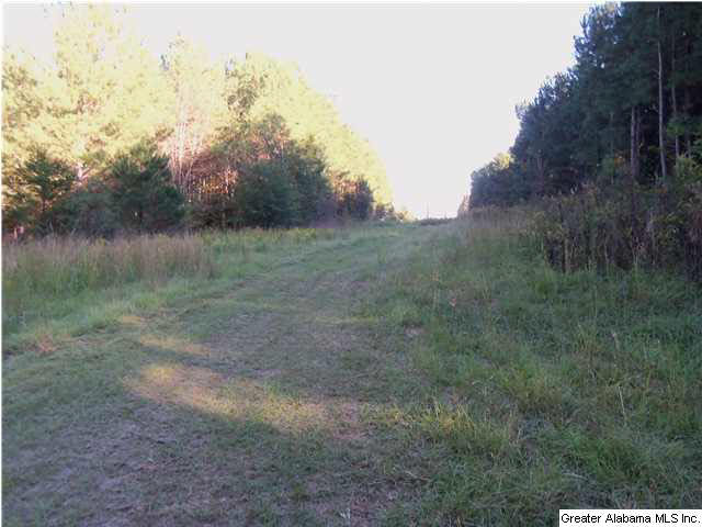 6841 Chesser Road Bessemer, AL 35023 - Photo 13 of 26