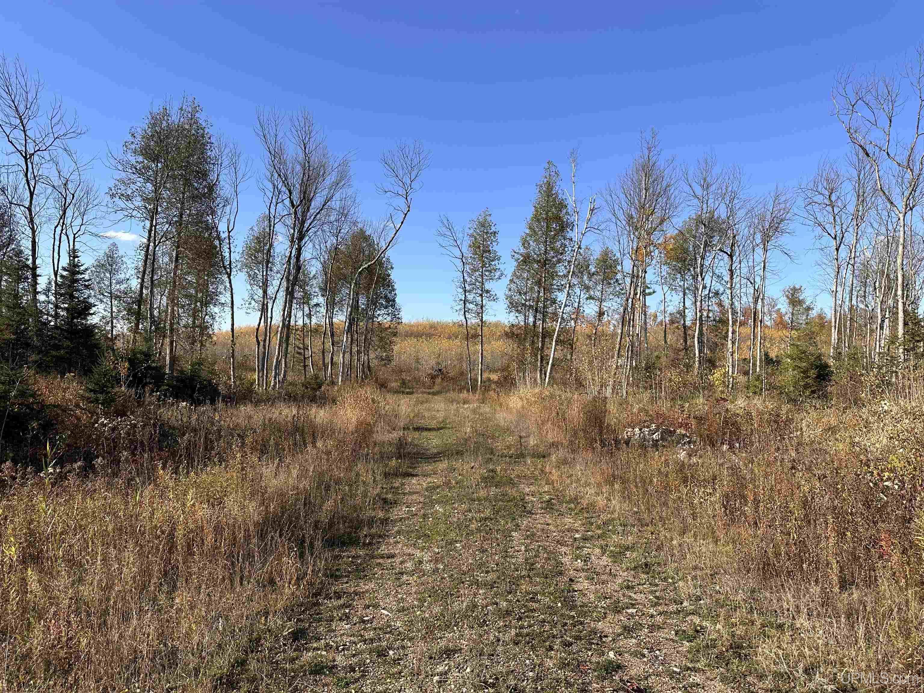 W8220 Co Road Vulcan, MI 49892 - Photo 4 of 14