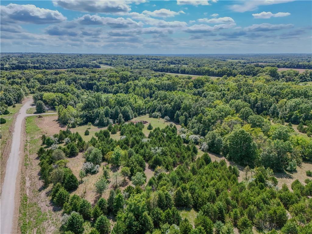 Lot 43 Northeast 51st Road Warrensburg, MO 64093 - Photo 2 of 23