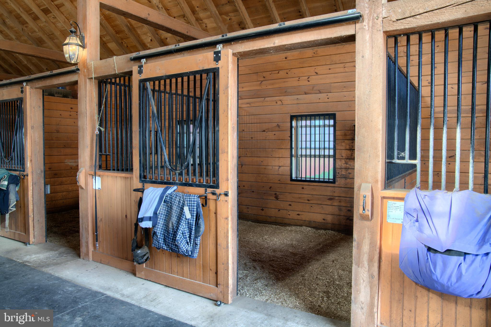 14000 Frederick Road Cooksville, MD 21723 - Photo 12 of 135 Each Stall Has Its Own Large Window