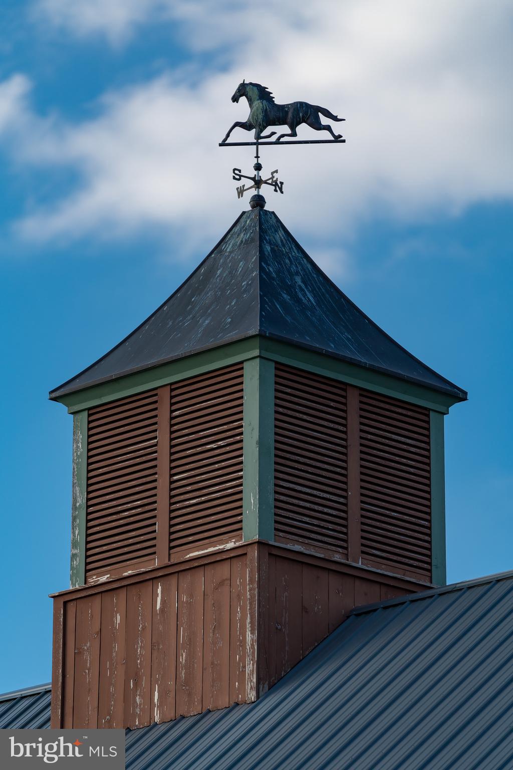 14000 Frederick Road Cooksville, MD 21723 - Photo 39 of 135 Cupola with Custom Horse Weathervanes