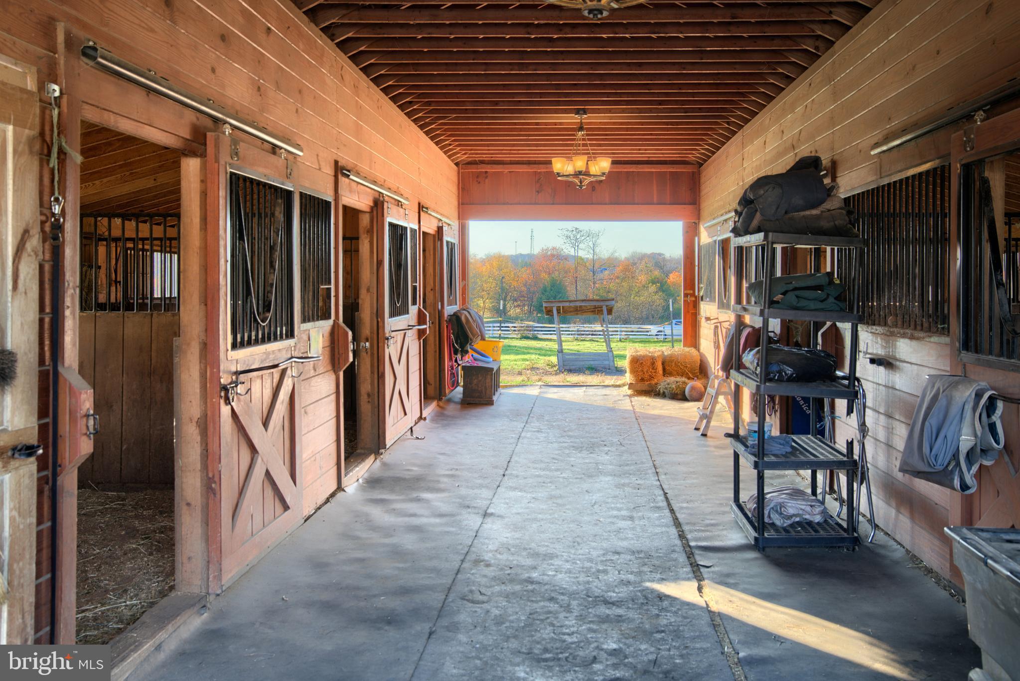 14000 Frederick Road Cooksville, MD 21723 - Photo 46 of 135 Large Nonslip Aisle and Matted Stalls