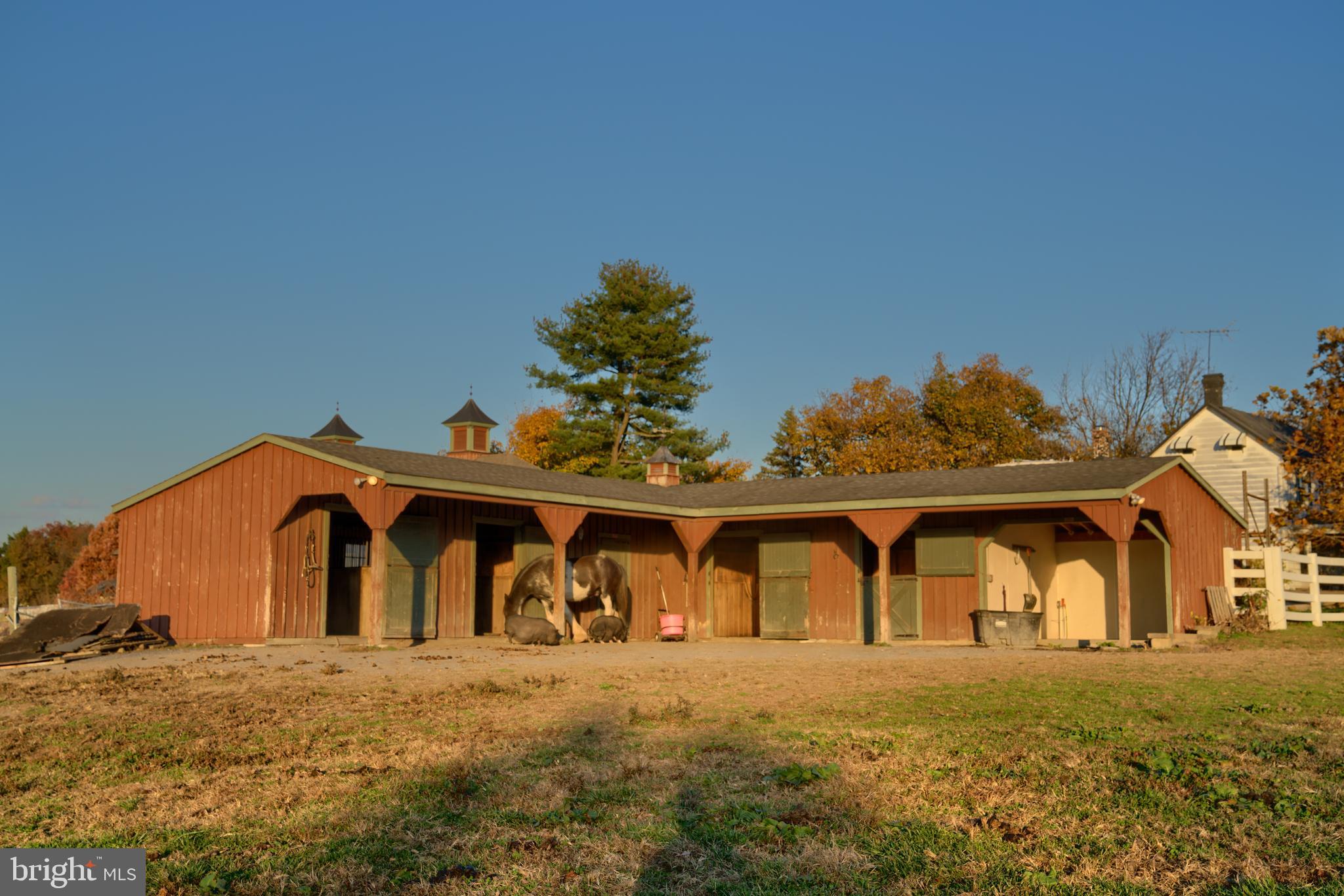 14000 Frederick Road Cooksville, MD 21723 - Photo 51 of 135 Four Stall Owners Barn