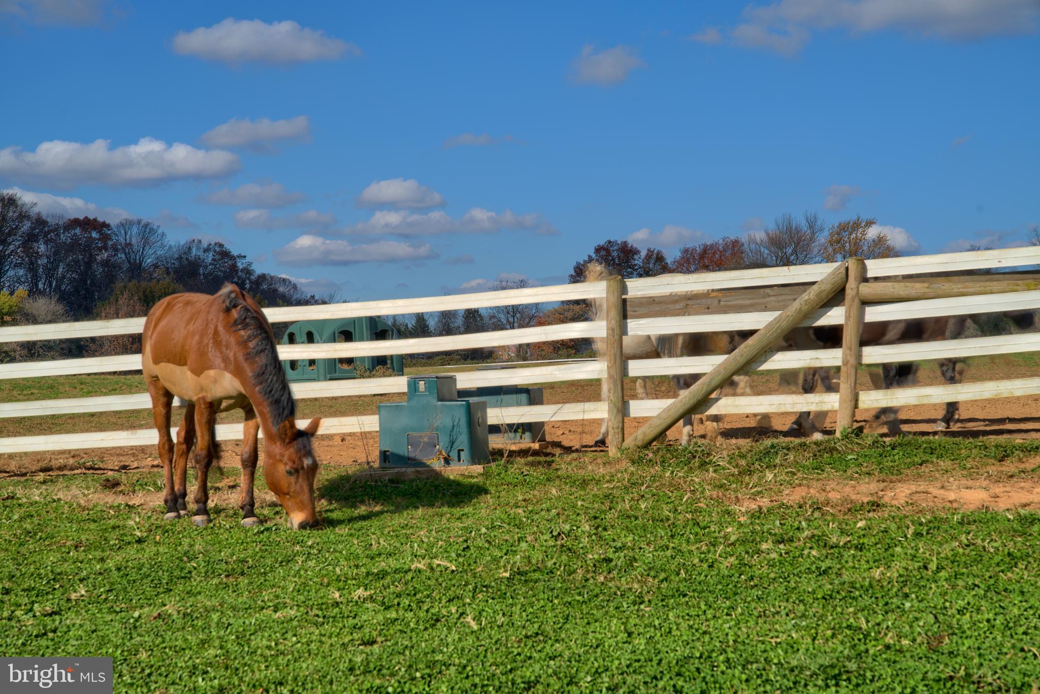 14000 Frederick Road Cooksville, MD 21723 - Photo 65 of 135 Safe Vinyl Fencing Means No Mending Fence Boards!