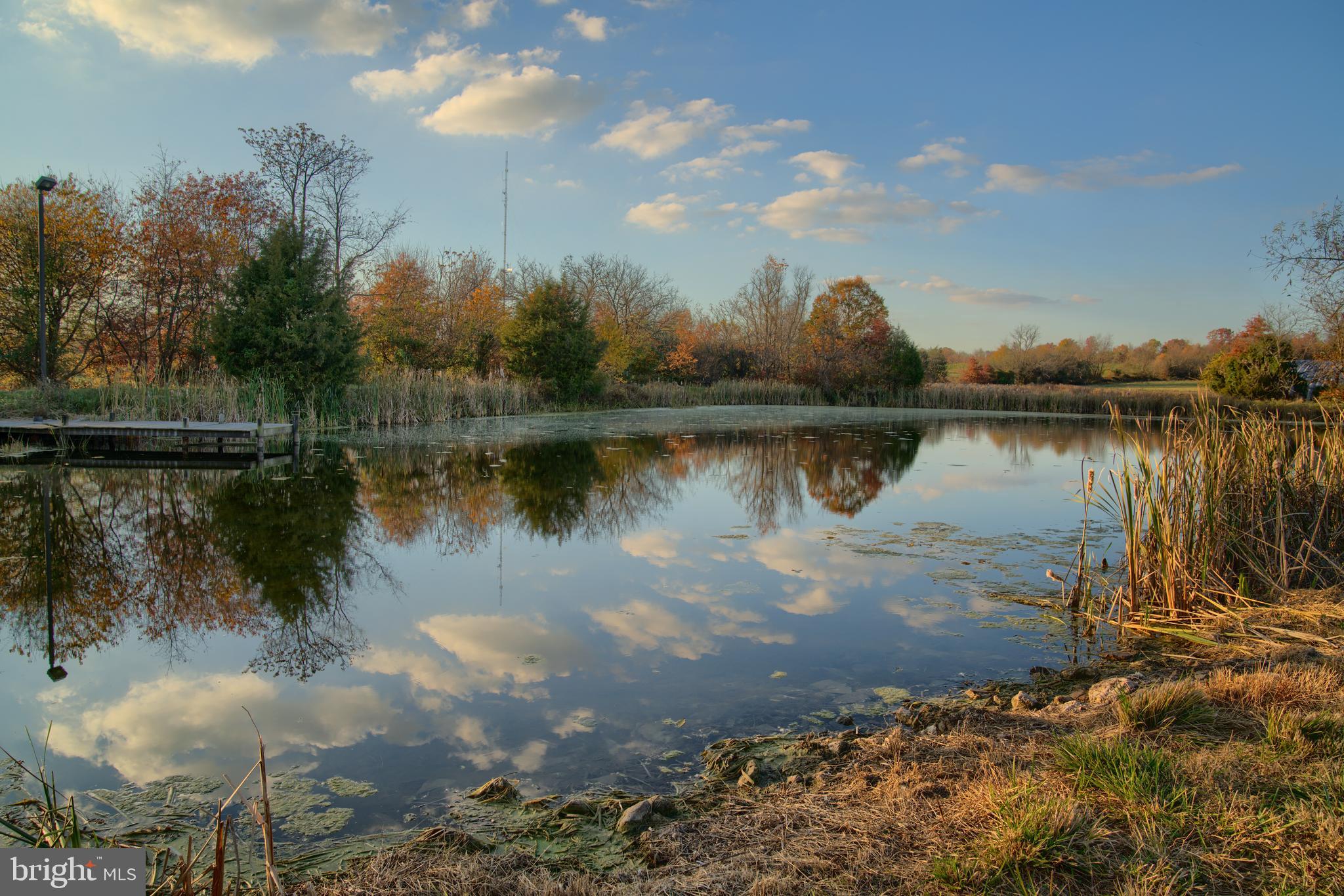 14000 Frederick Road Cooksville, MD 21723 - Photo 68 of 135 Large Pond