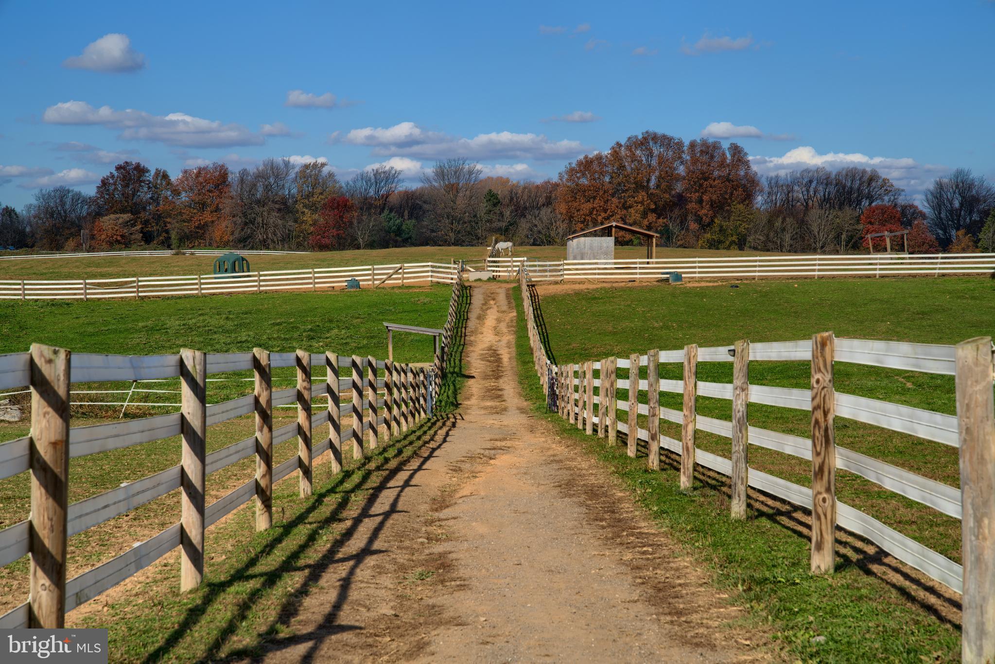 14000 Frederick Road Cooksville, MD 21723 - Photo 69 of 135 Hacking Path Between Paddocks
