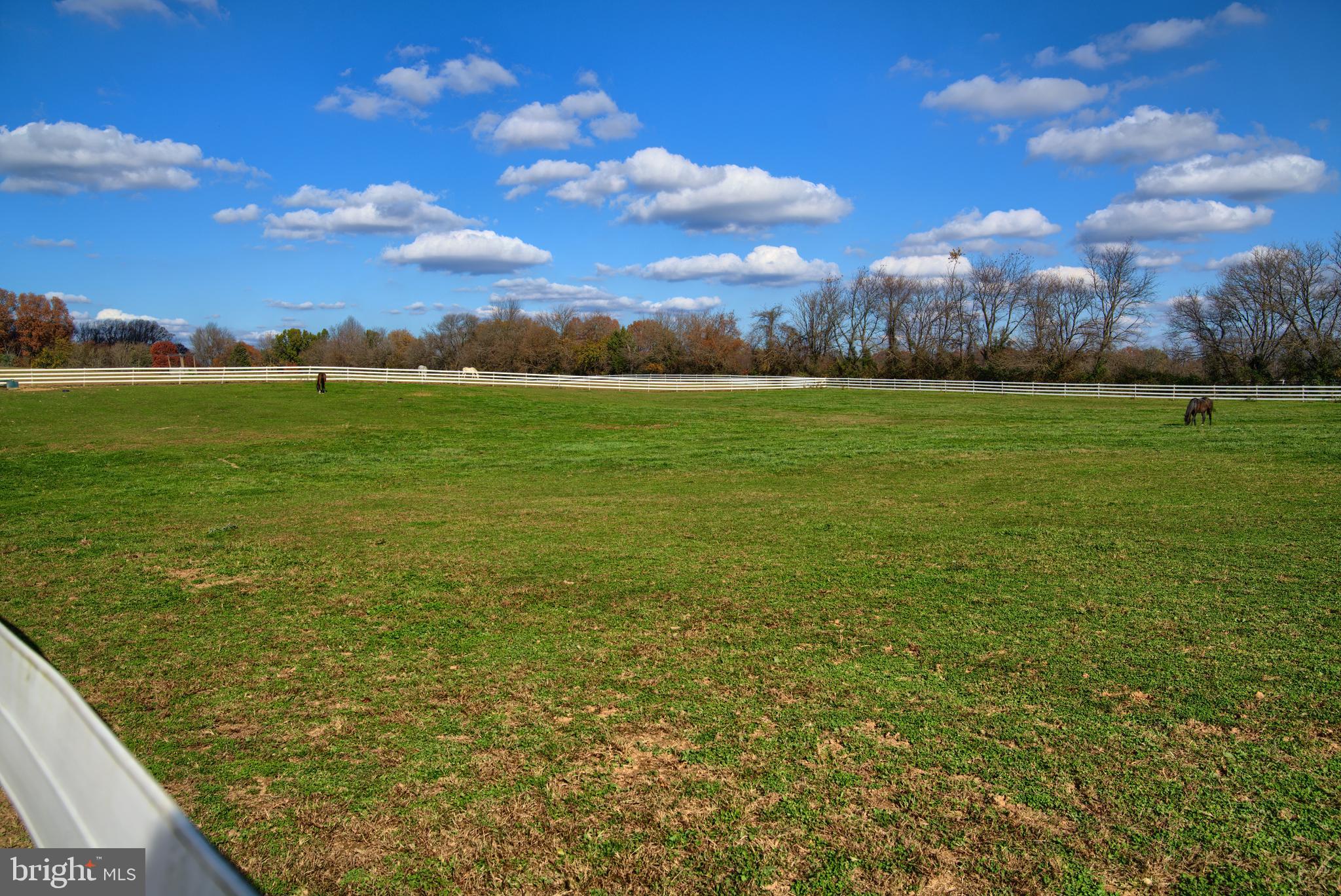 14000 Frederick Road Cooksville, MD 21723 - Photo 70 of 135 Extremely Well Maintained Pastures