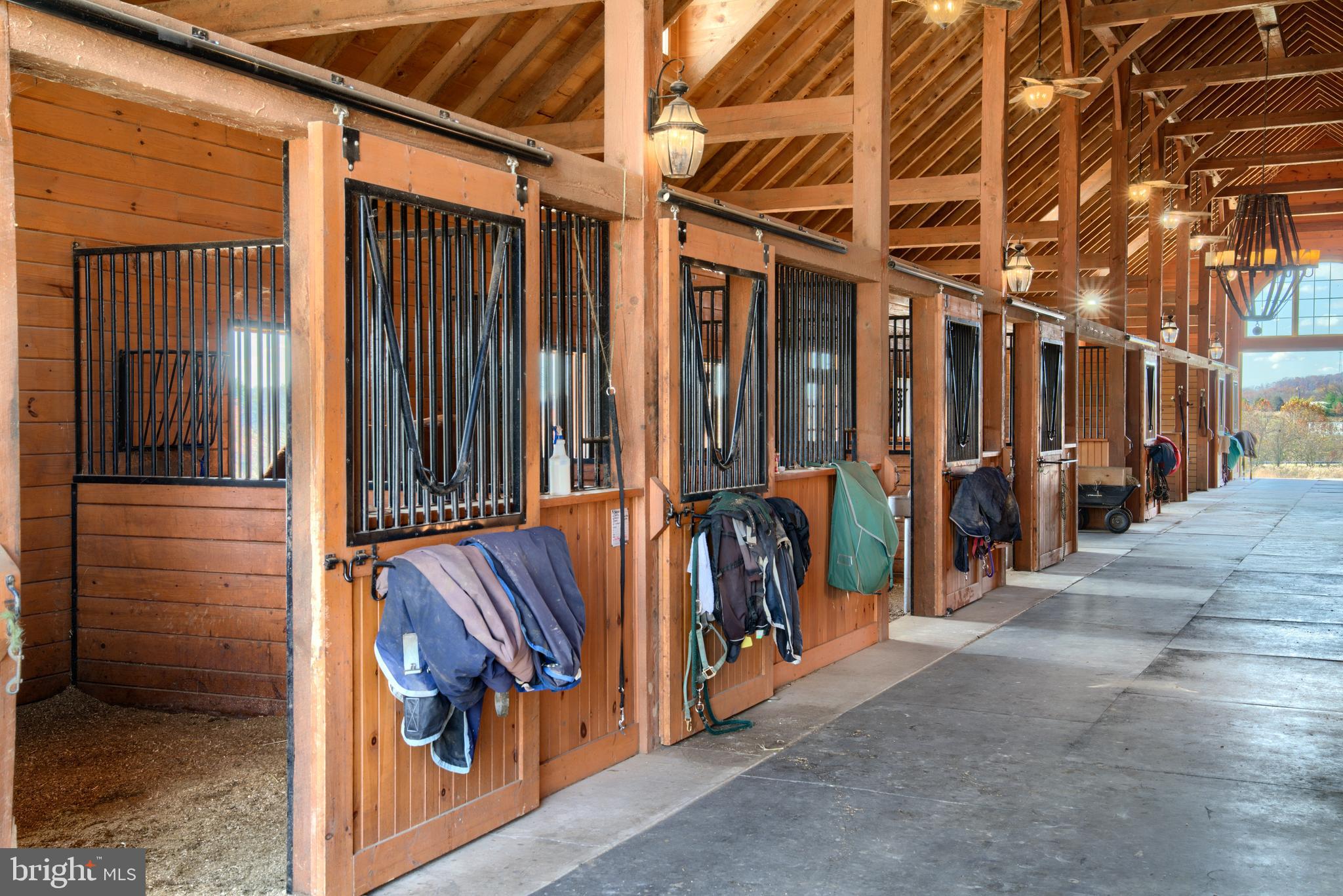 14000 Frederick Road Cooksville, MD 21723 - Photo 9 of 135 Custom Stall Fronts with Removable Yoke Doors