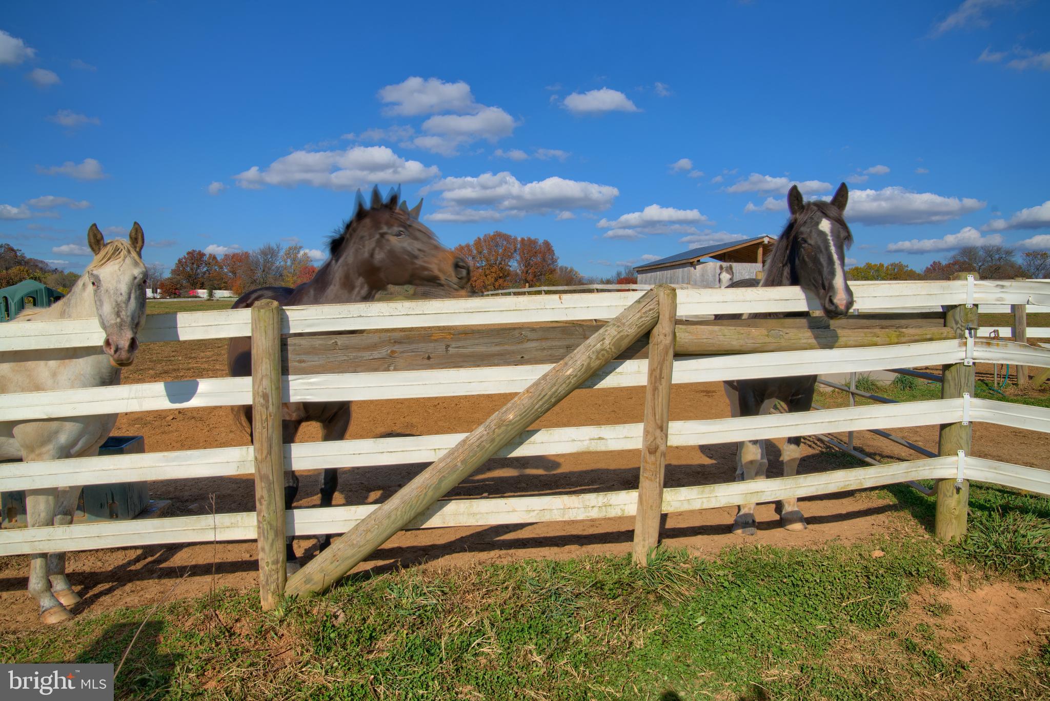 14000 Frederick Road Cooksville, MD 21723 - Photo 85 of 135 Vinyl Fencing