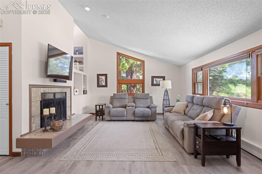 1851 Buttercup Road Elizabeth, CO 80107 - Photo 6 of 47 a living room with furniture a fireplace and a flat screen tv