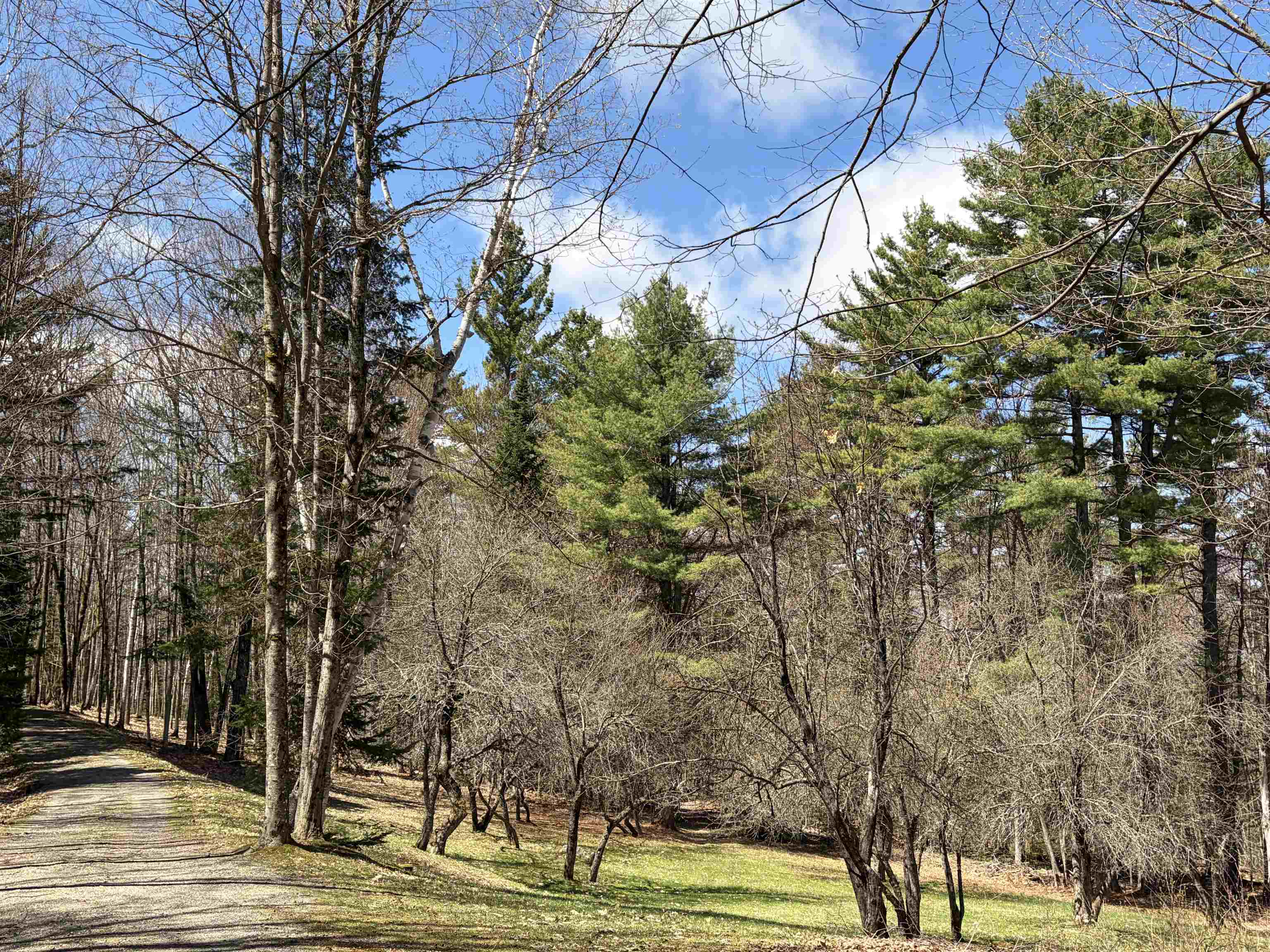 36 Mountain Road Dalton, NH 03598 - Photo 52 of 53