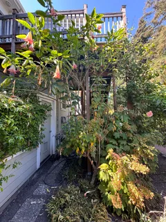 $1,895,000 | 2221 McGee Avenue, Berkeley, CA 94703