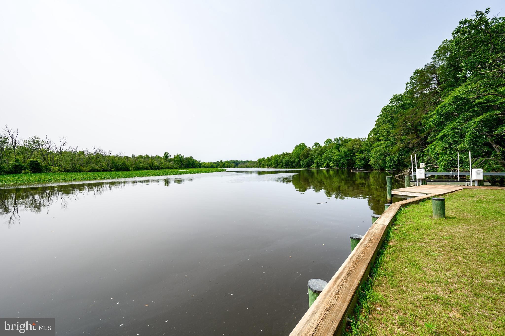 25292 Sandy Point Road Greensboro, MD 21639 - Photo 12 of 65 River view from ground level-